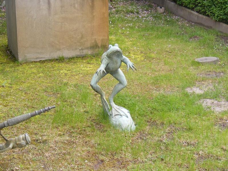DSCF1594.JPG