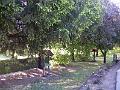 DSCF1487