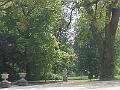 DSCF1492