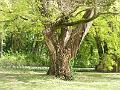 DSCF1493