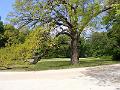 DSCF1494