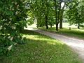 DSCF1507