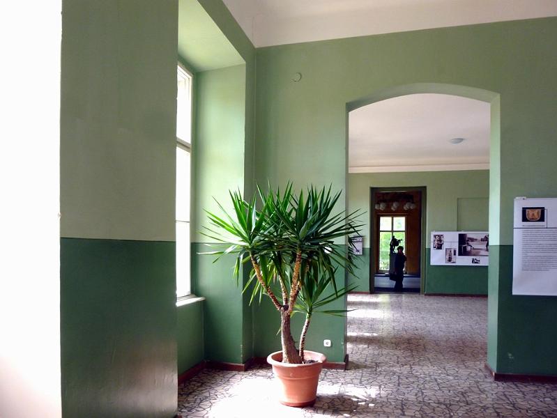P1110398.JPG