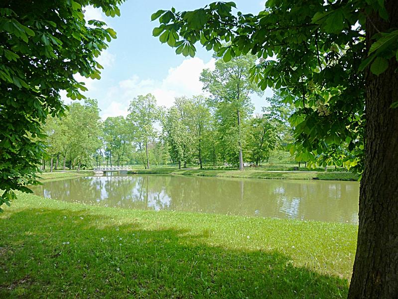 P1110417.JPG