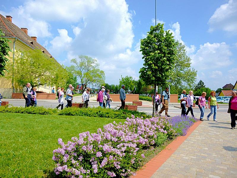 P1110420.JPG