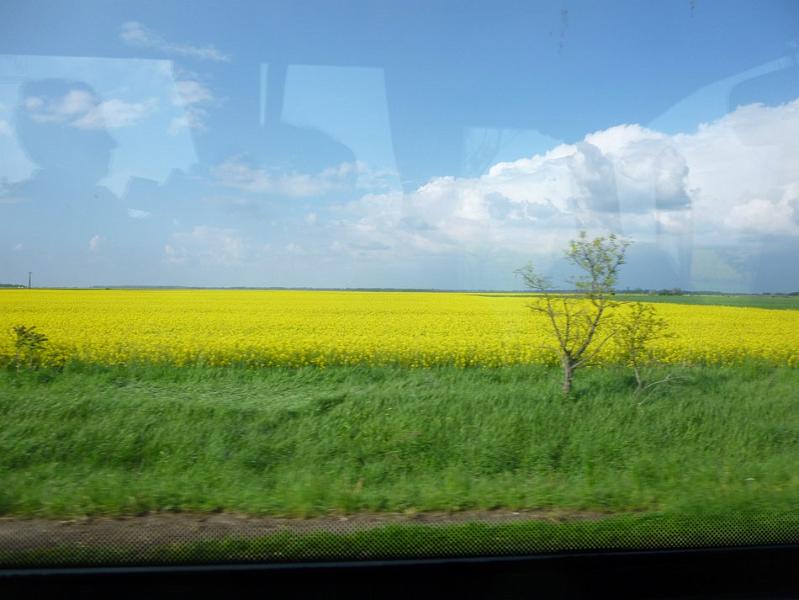 P1110438.JPG