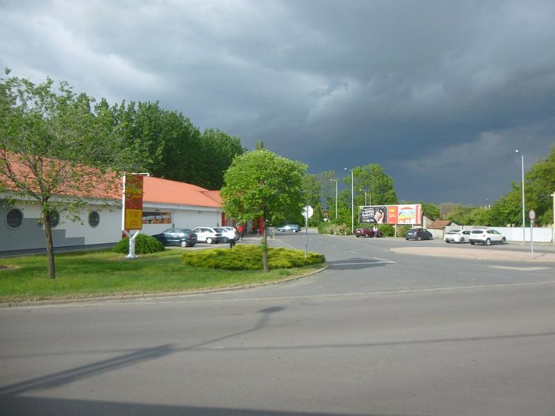 P1110446.JPG