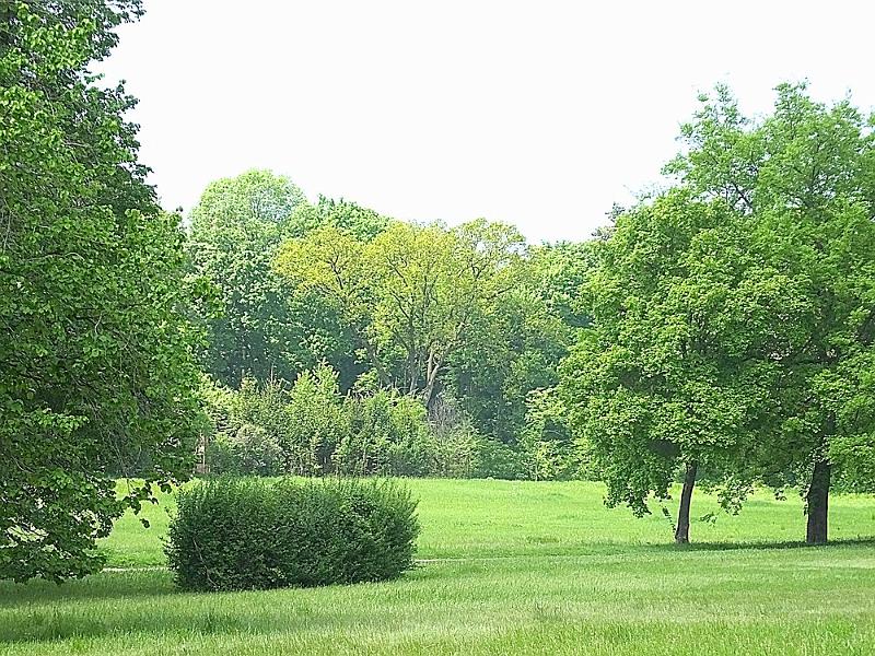 DSCF0406.JPG