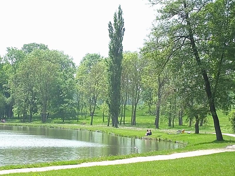 DSCF0410.JPG