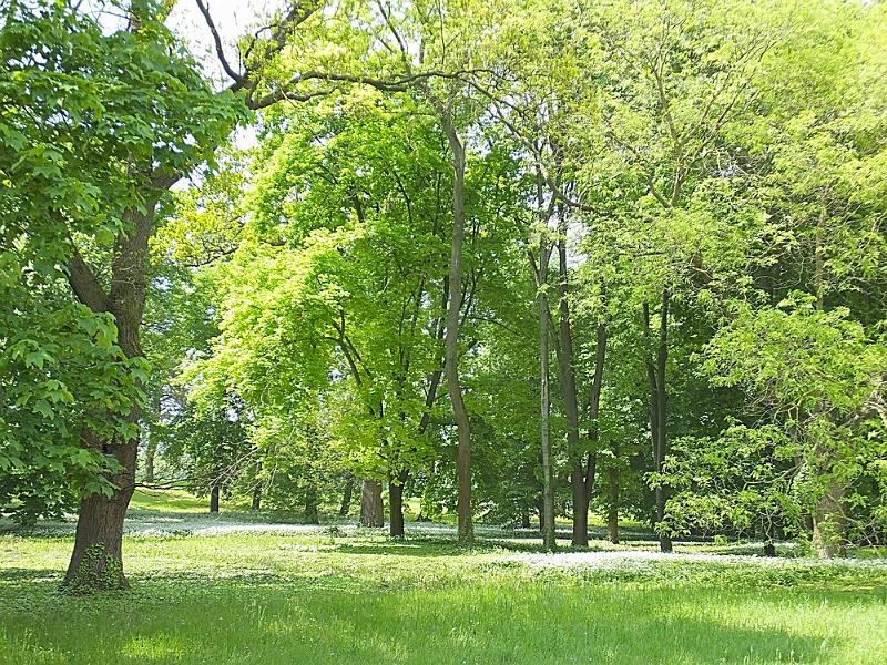 DSCF0412.JPG