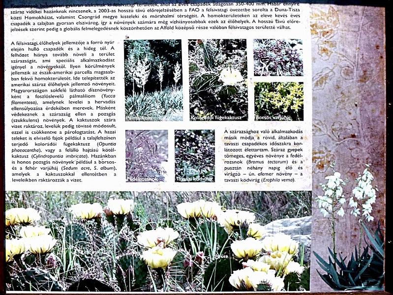 P1110630.JPG