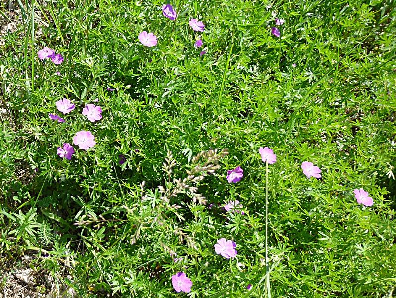 P1110644.JPG