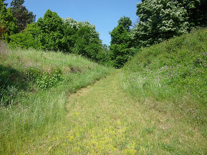 P1110650.JPG