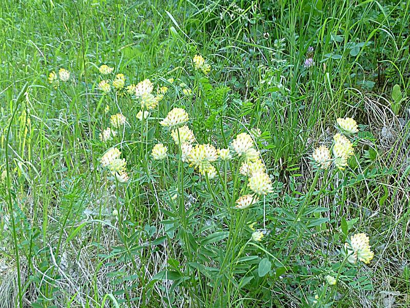P1110652.JPG