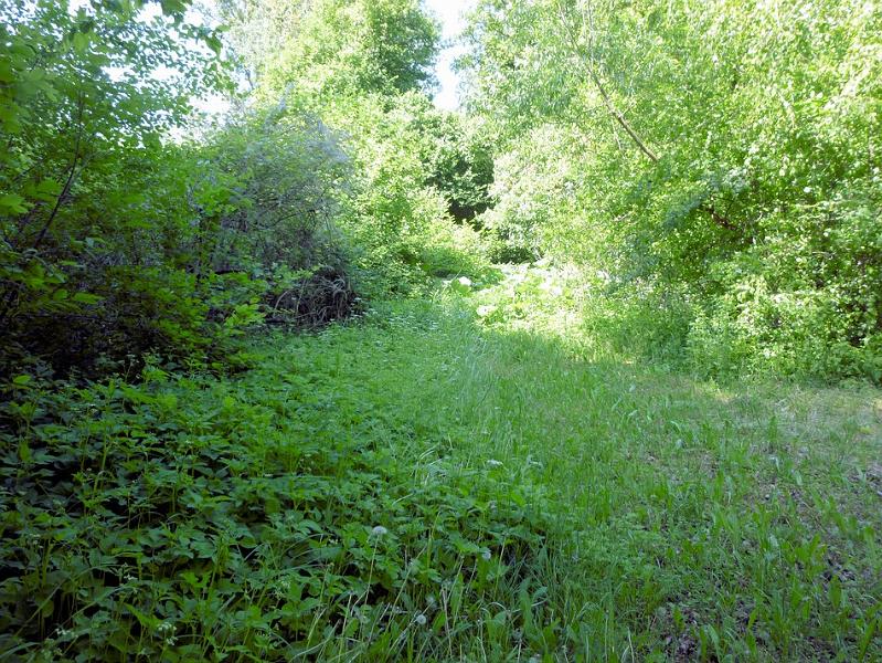 P1110656.JPG