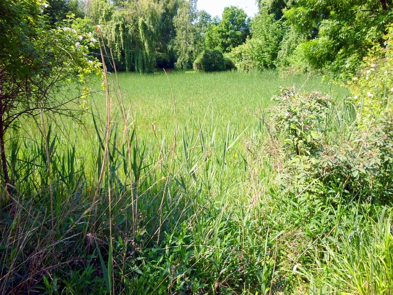 P1110666.JPG