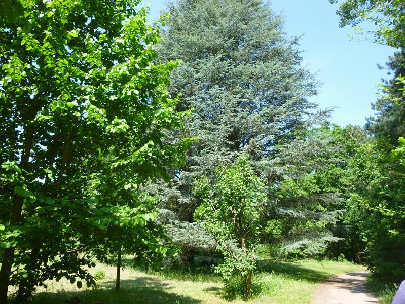 P1110670.JPG