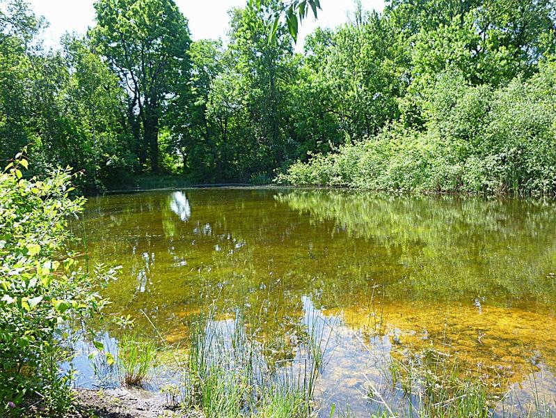 P1110676.JPG