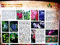P1110639