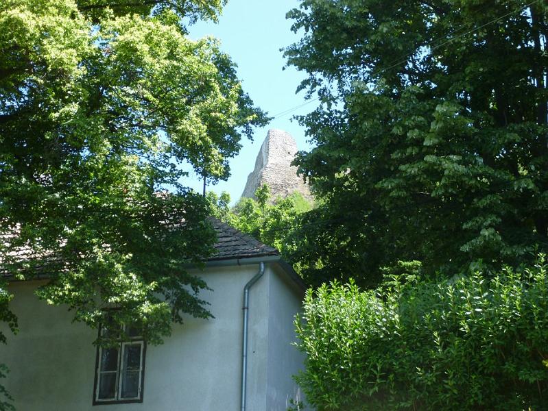 P1110691.JPG