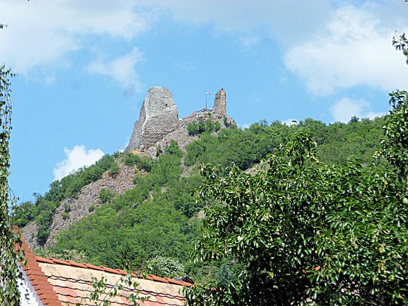 P1110736.JPG