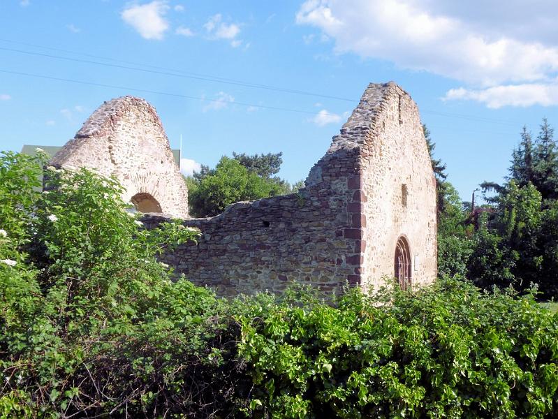 P1110744.JPG