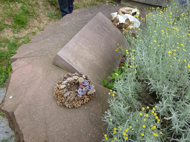P1110790.JPG