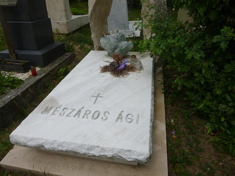 P1110797.JPG