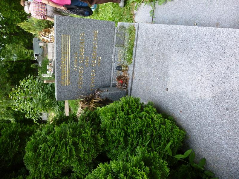 P1110817.JPG
