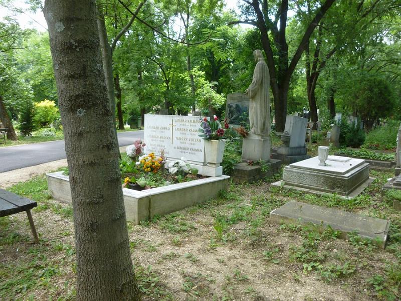 P1110841.JPG