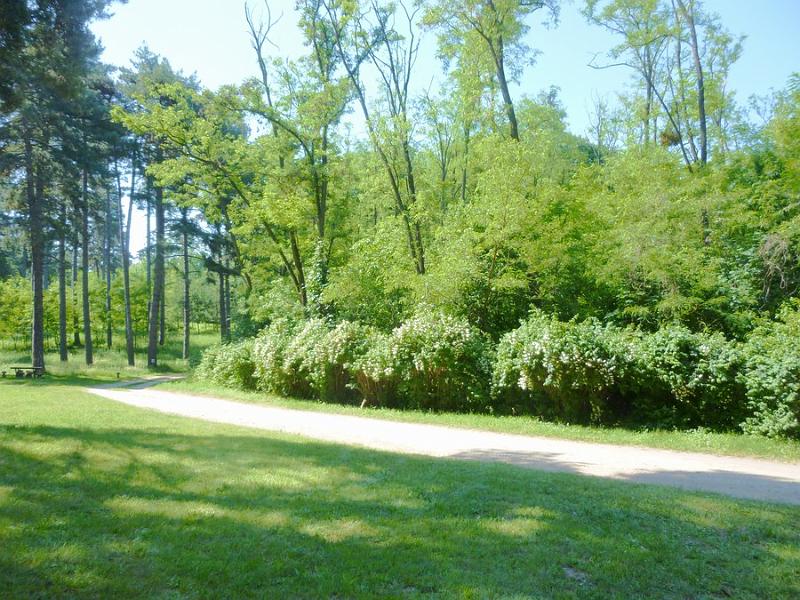 P1110850.JPG