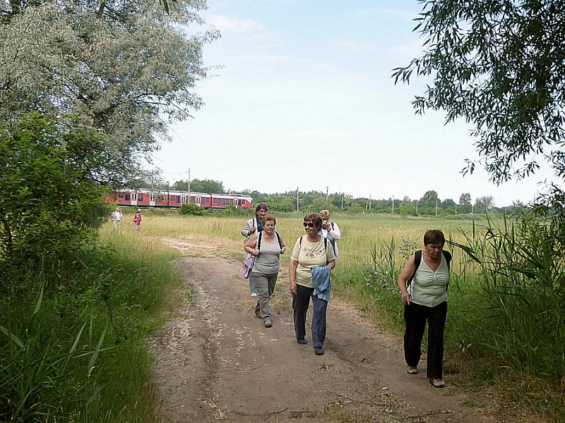 P1110895.JPG