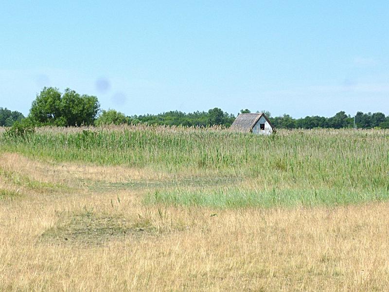 P1110910.JPG