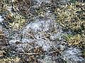 DSCF0529