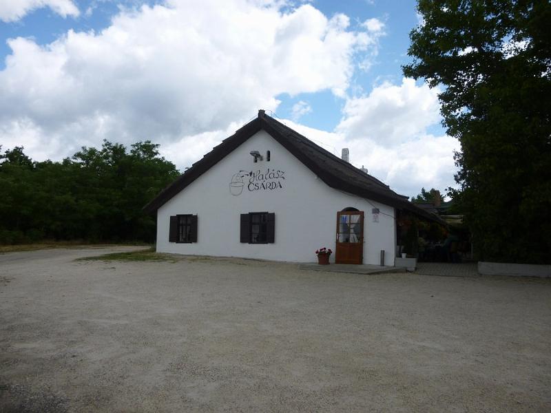 P1110977.JPG