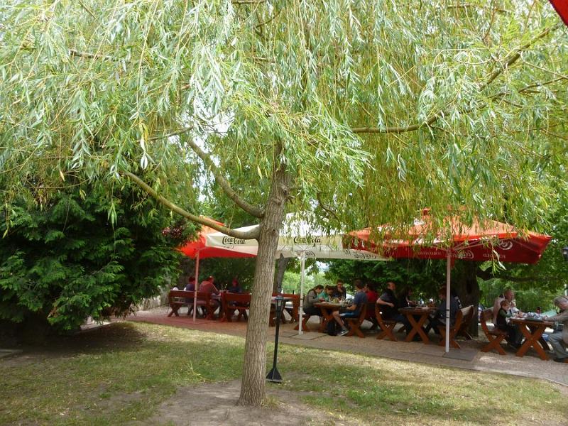 P1120021.JPG