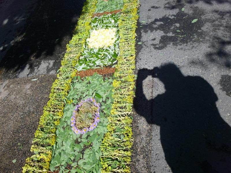 P1120029.JPG