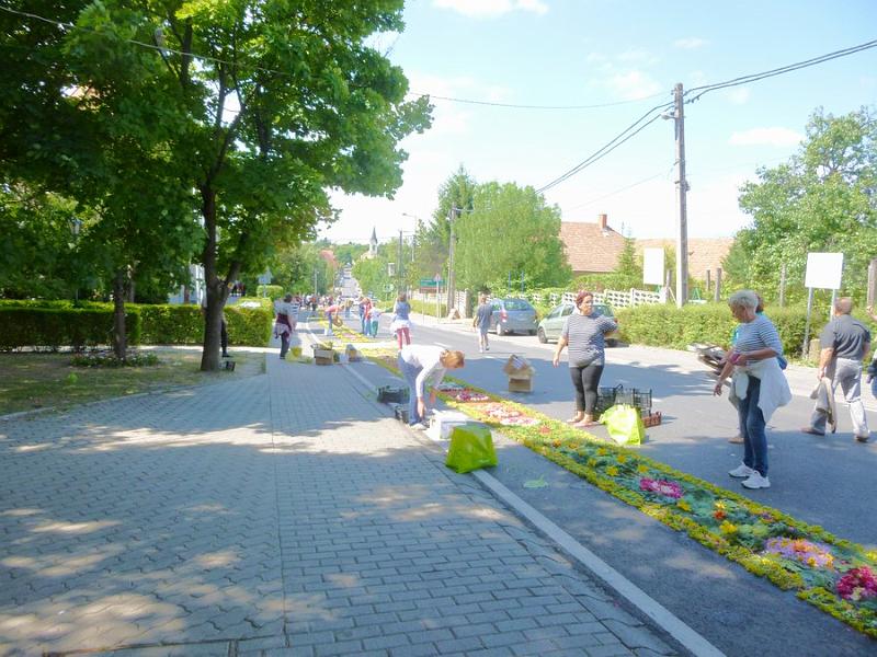 P1120031.JPG