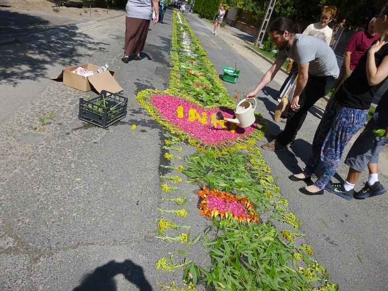 P1120038.JPG