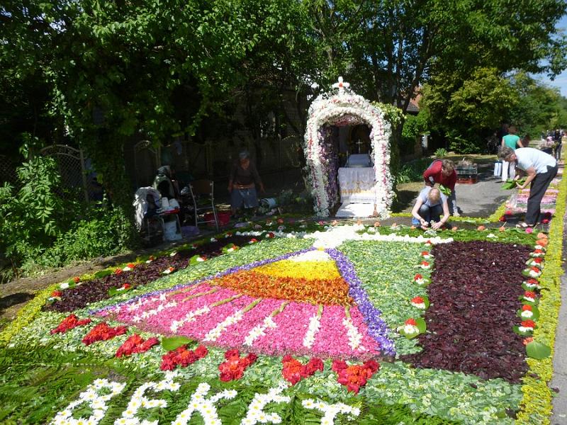 P1120044.JPG