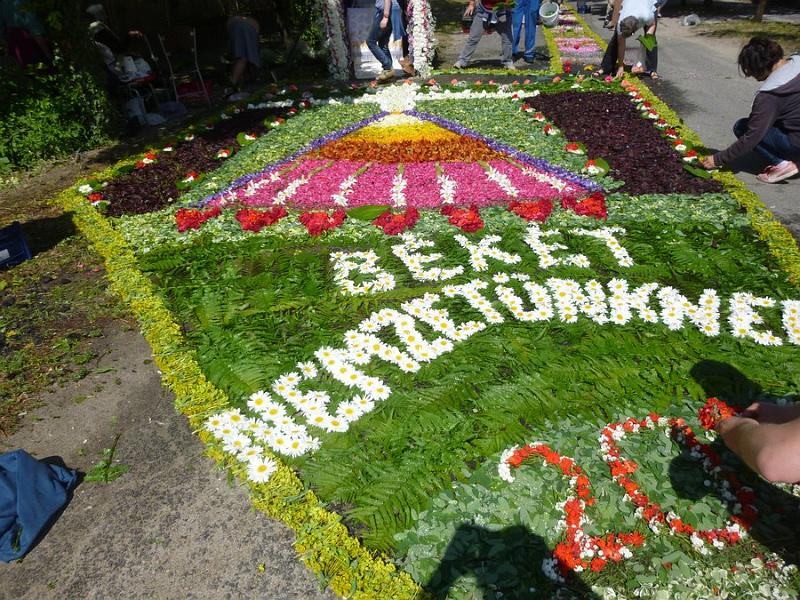 P1120046.JPG