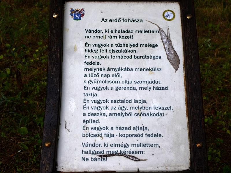 P1120130.JPG