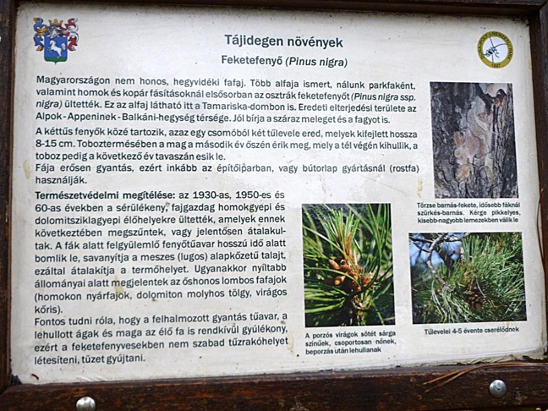 P1120131.JPG