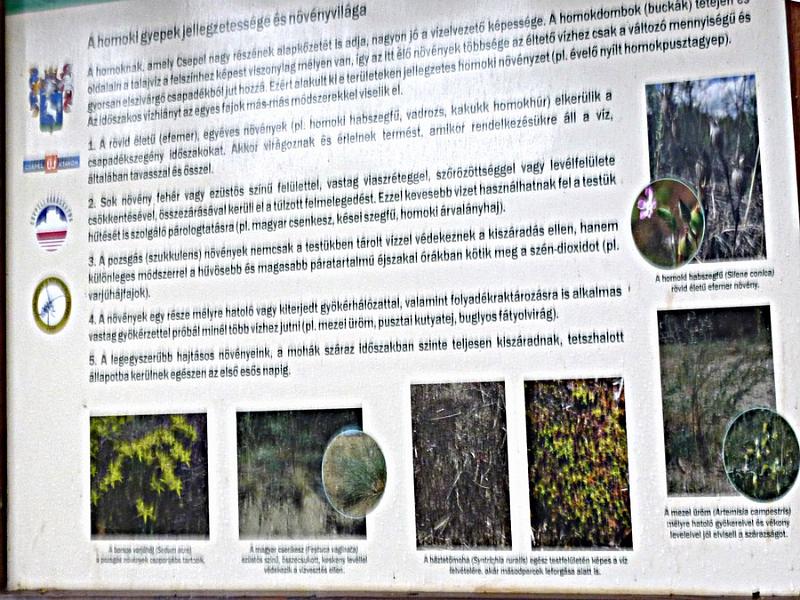 P1120133.JPG
