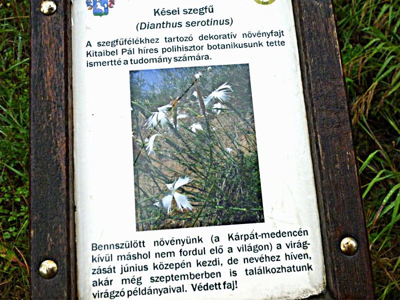 P1120134.JPG