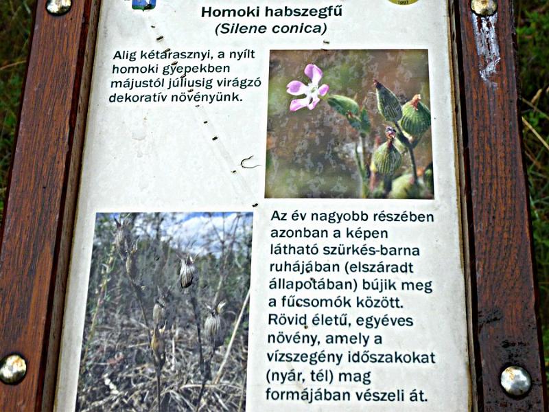 P1120135.JPG