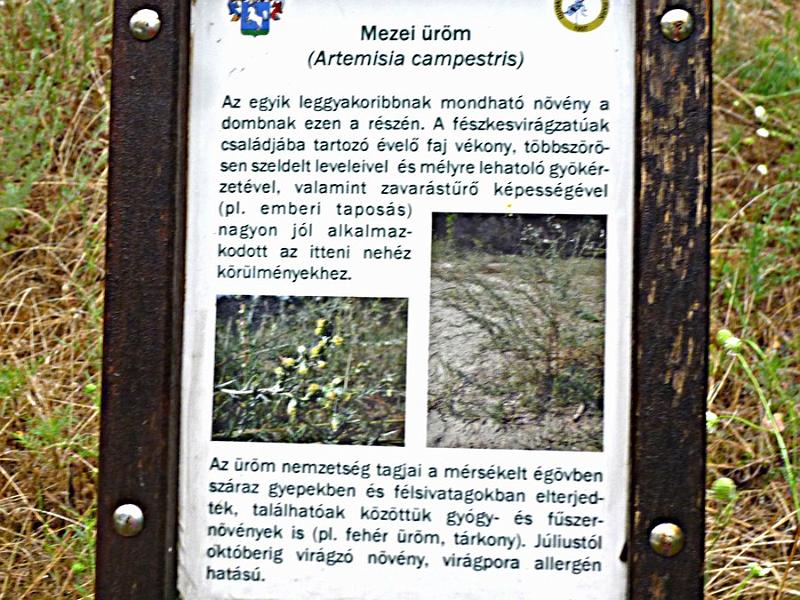 P1120136.JPG