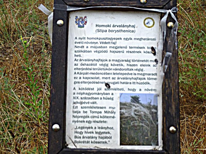P1120141.JPG