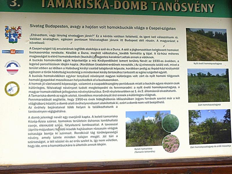 P1120148.JPG