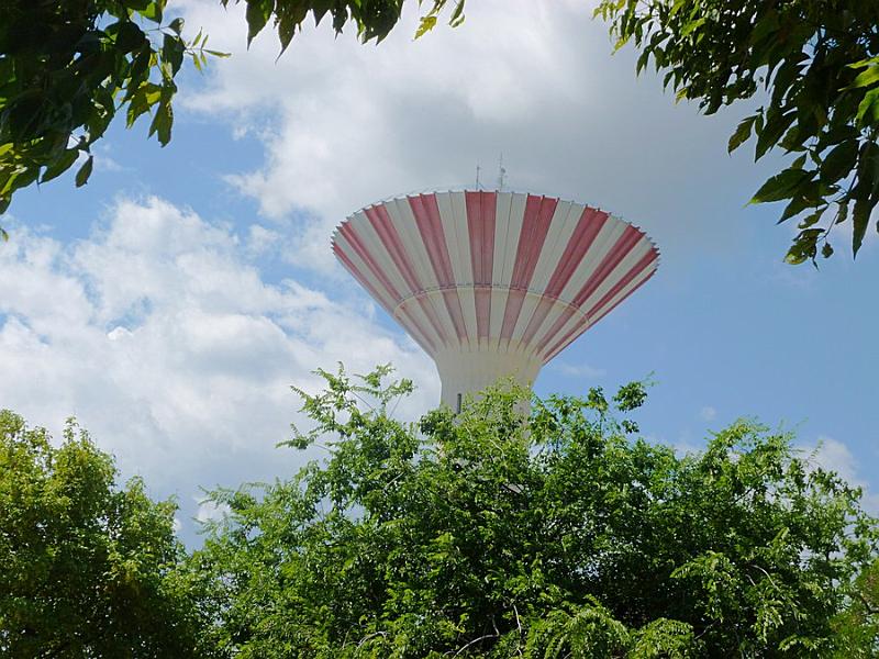 P1120157.JPG